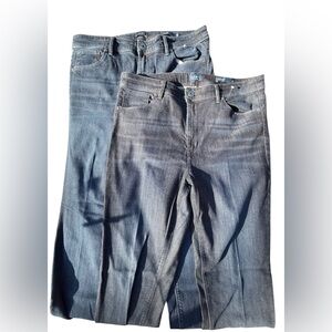 J.Jill Denim High Rise Straight Leg Bundle